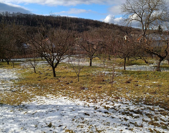 20km od Košíc v obci Zsujta, výborná lokalita